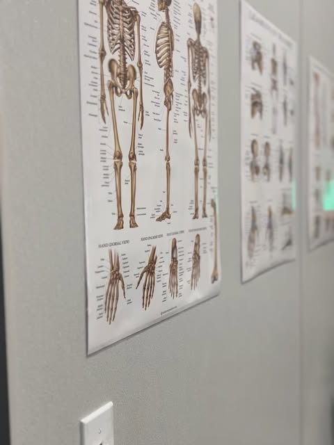 Anatomy charts inside Terry’s therapy space